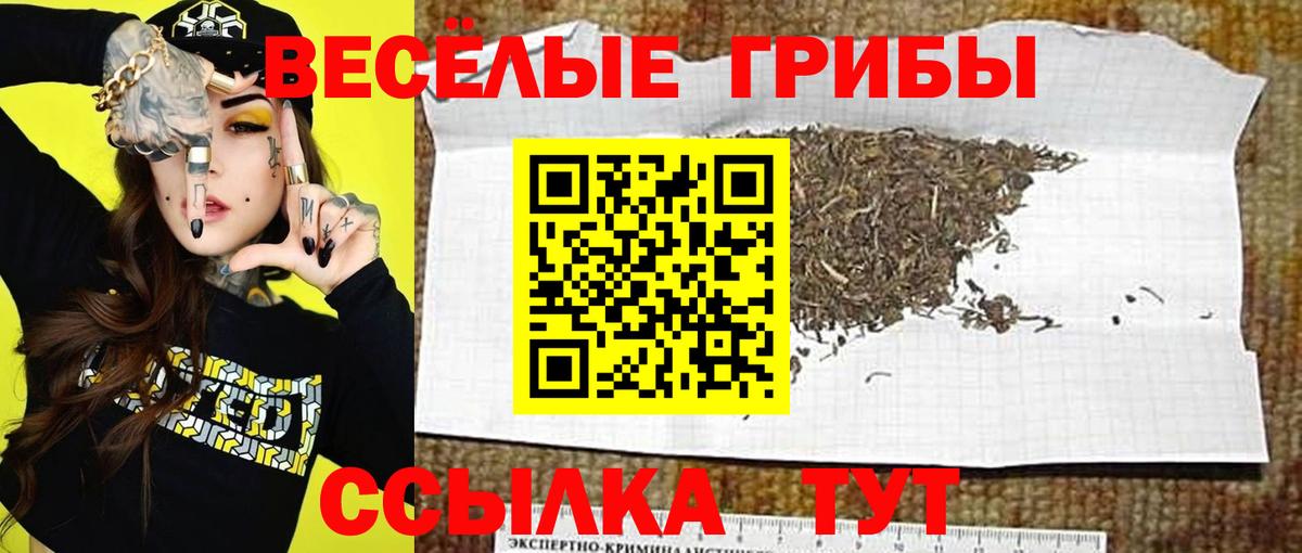 Борисоглебск  Псилоцибиновые грибы мицелий  Вход с VPN 